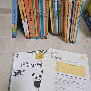 웅진 콩알