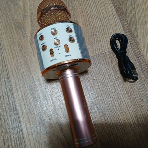 Blue Sun WS-858 블루투스 마이크 USB