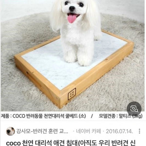 대리석 강아지 침대.쿨매트