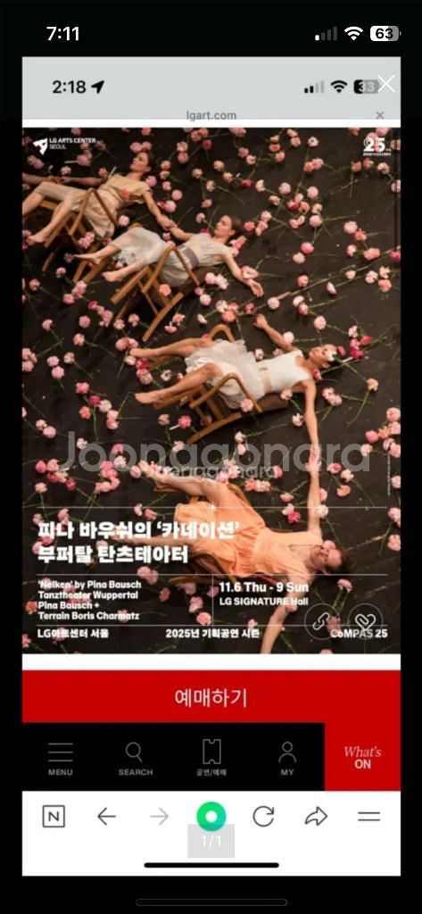 피나 바우쉬 <카네이션> 부퍼탈 탄츠 테아터--0