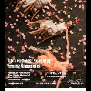 피나 바우쉬 <카네이션> 부퍼탈 탄츠 테아터