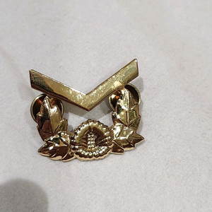 금색 군인 계급장/핀
