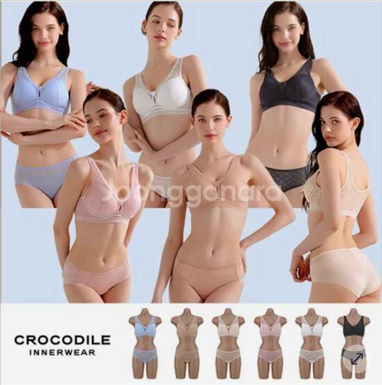 크로커다일 언더웨어 에어리핏 브라팬티 6세트--0