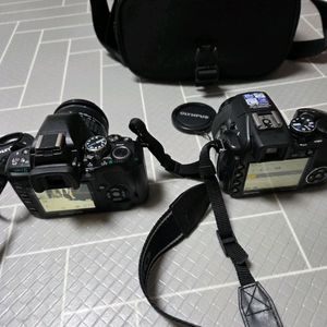 올림프스 카메라 2대일괄