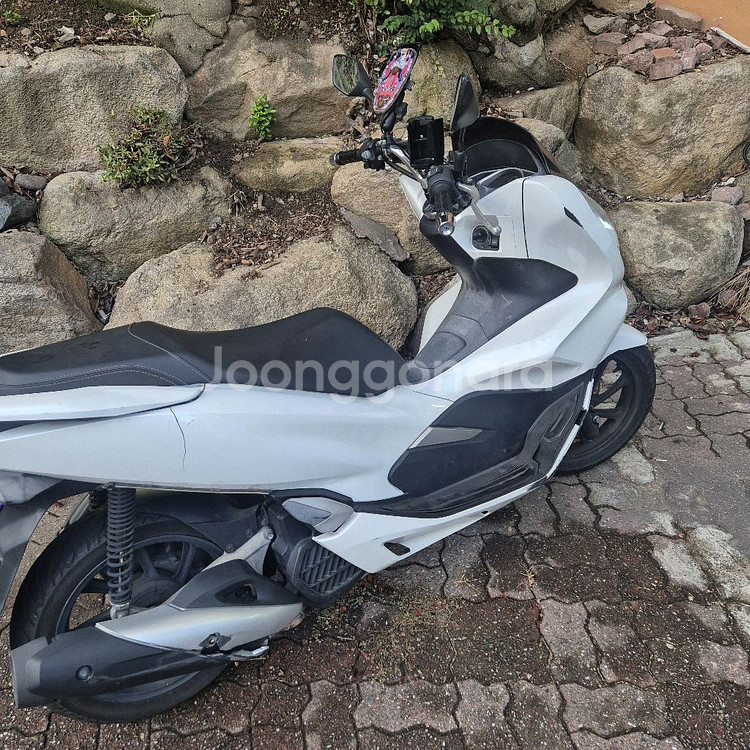 pcx125 20년식--2