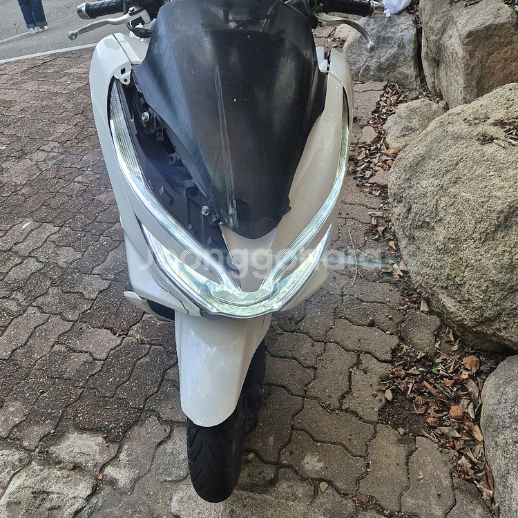 pcx125 20년식--3