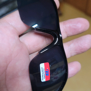 FH GLASSES 선글라스