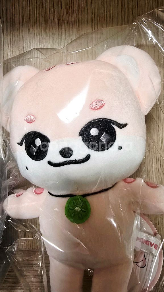 아이브 미니브 스쿨 팝업 오리지널 이랑이 이서 인형--0