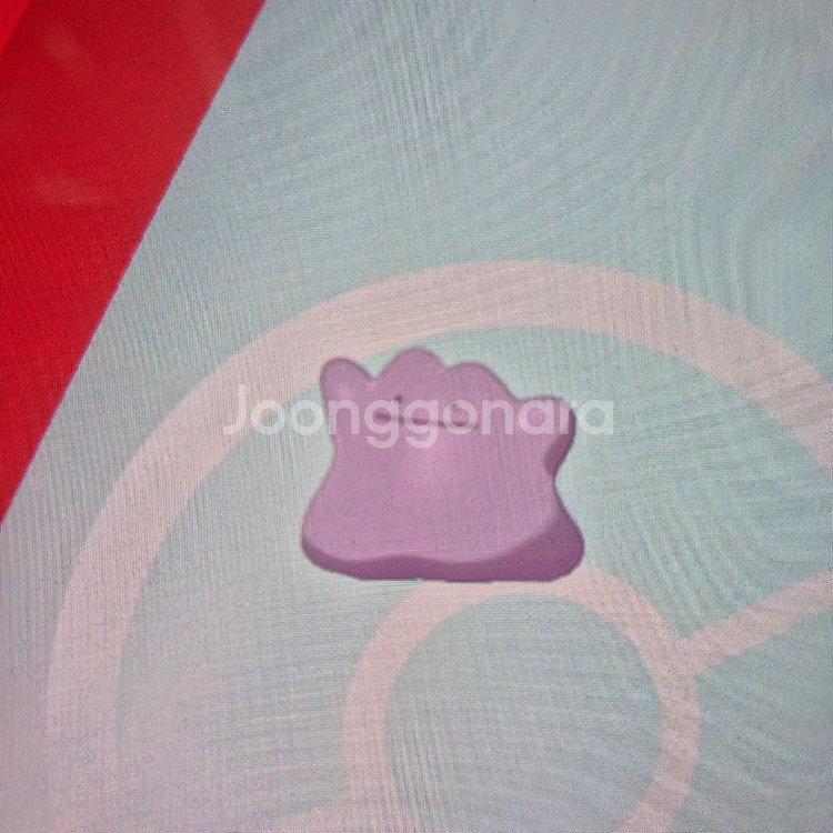 브다샤펄 / 포켓몬 분양--0