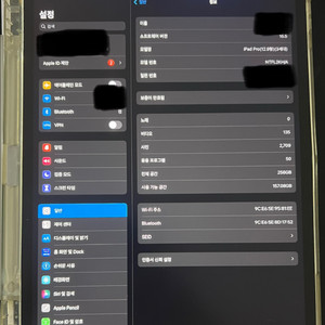 아이패드 프로 3세대 12.9 wifi 256기가