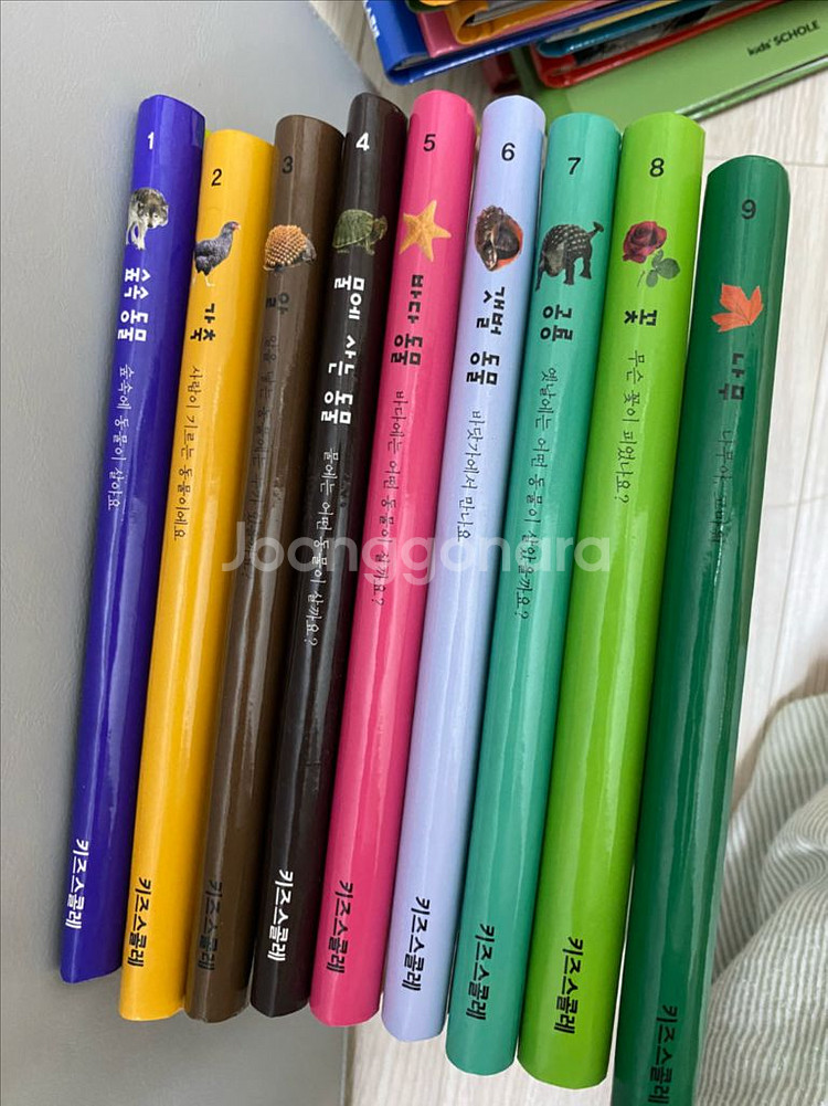 키즈스콜레 마이 퍼스트 월드(박스포함)--0