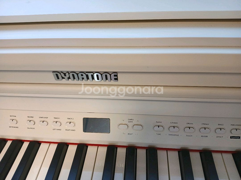 다이나톤 DPR-2300 화이트(헤드셋포함)--1