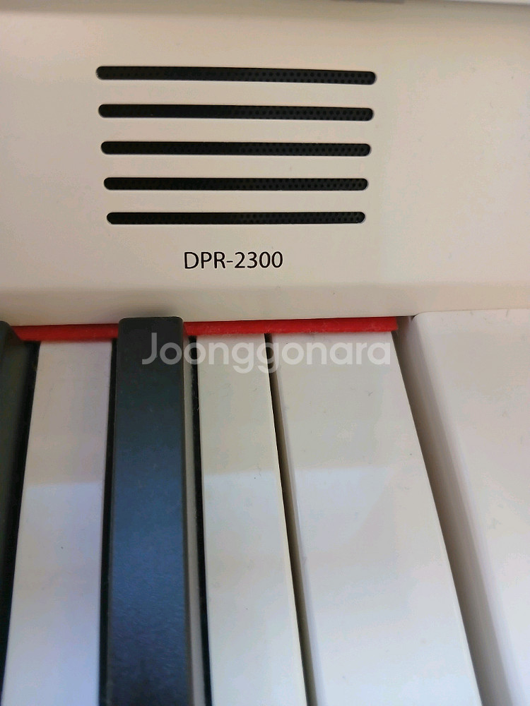 다이나톤 DPR-2300 화이트(헤드셋포함)--2