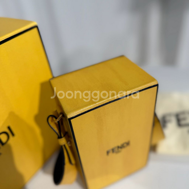 펜디 박스 트렁크 백--2