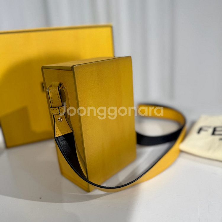 펜디 박스 트렁크 백--4