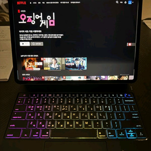 아이패드 프로 12.9 256기가 셀룰러모델
