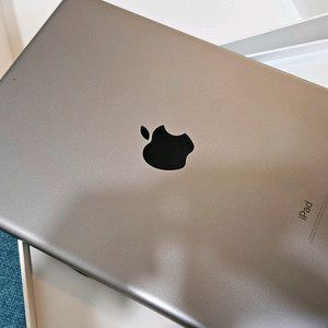 애플 APPLE 아이패드 iPad6세대 6th wifi