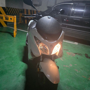 버그만 200