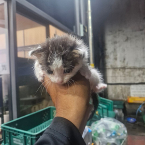 두글자 s급 닉네임