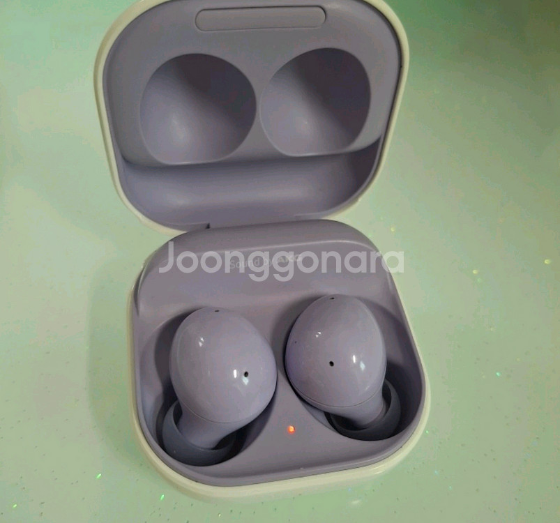 버즈2 라벤더--0