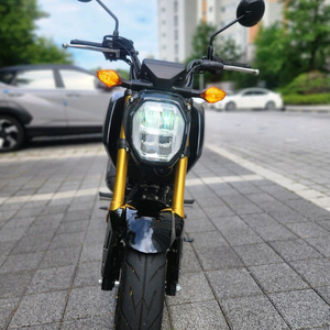 혼다mxs125cc