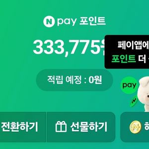 네이버페이 포인트 33만원
