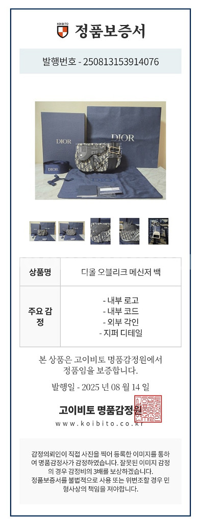 디올 오블리크 새들백--9
