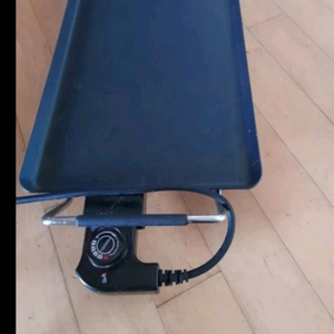 전기팬