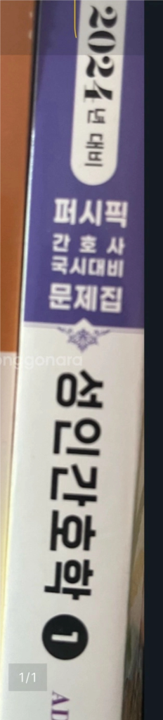 간호학과 퍼시픽 성인간호학1(2024)--0