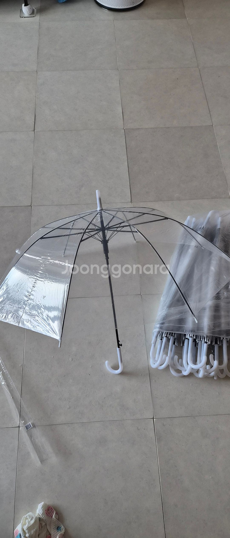 투명우산--0