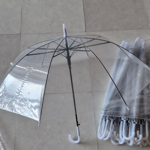 투명우산