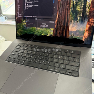 Mac M3 Max 64gb 16in 애플케어 저렴히!