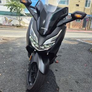 포르자