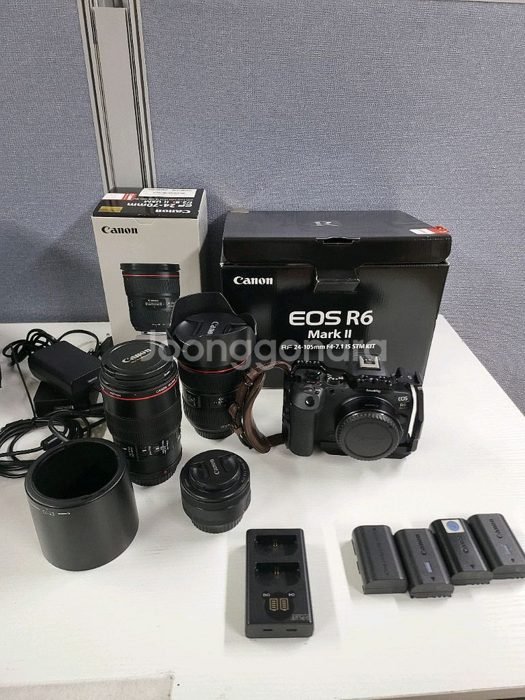 Canon EOS R6 Mark II 100마엘 신계륵--0