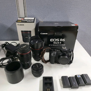 Canon EOS R6 Mark II 100마엘 신계륵