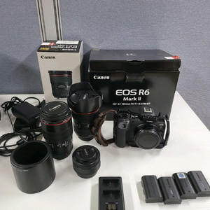 Canon EOS R6 Mark II 100마엘 신계륵