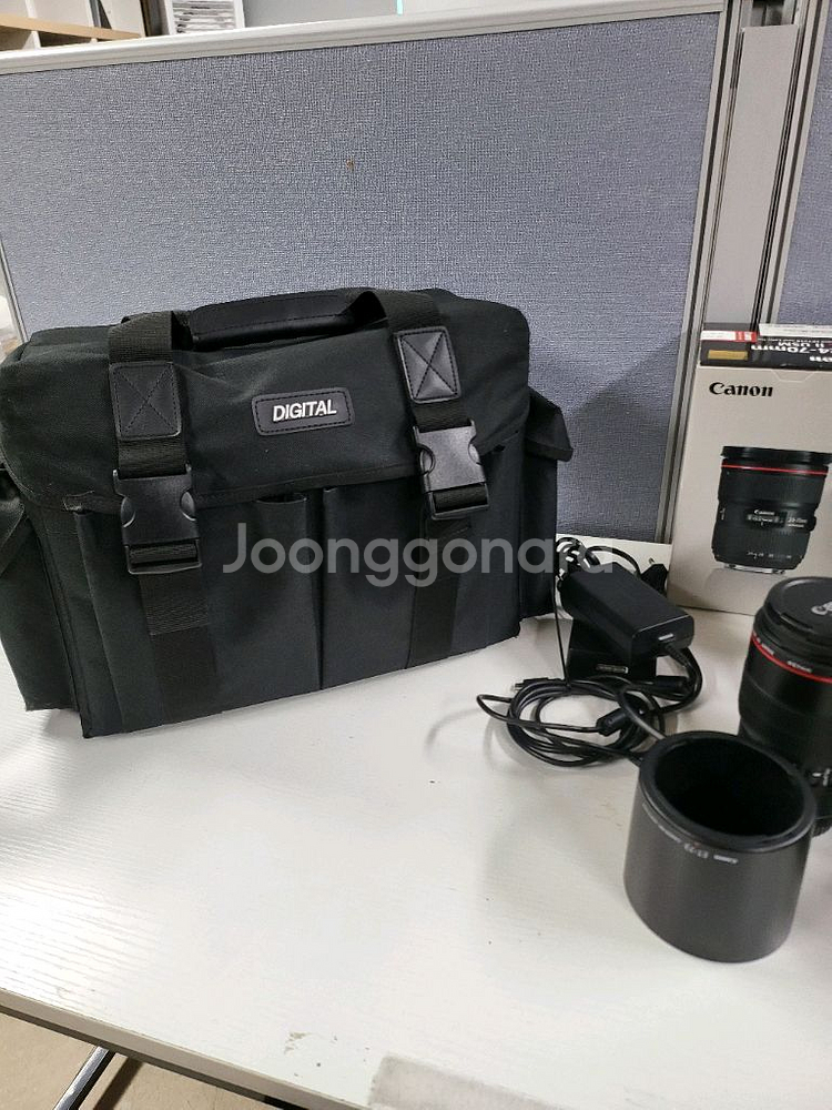Canon EOS R6 Mark II 100마엘 신계륵--2