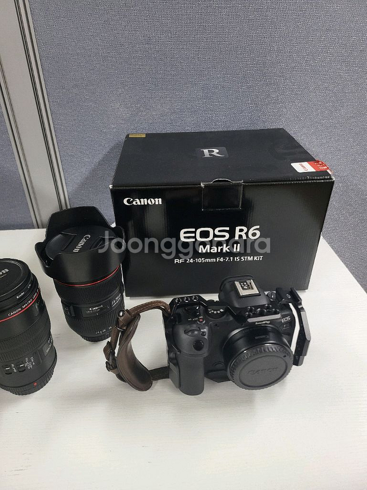 Canon EOS R6 Mark II 100마엘 신계륵--1
