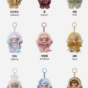 스컬판다 빛의정원 안개 바람꽃 새벽 호박 겨교 초콜릿