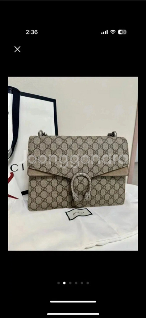 구찌 디오니소스 베이지--0