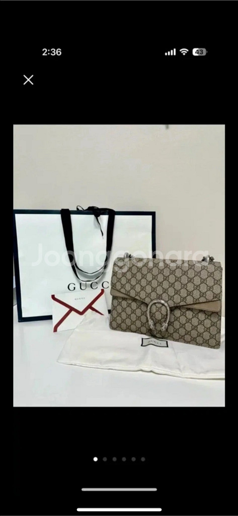 구찌 디오니소스 베이지--1