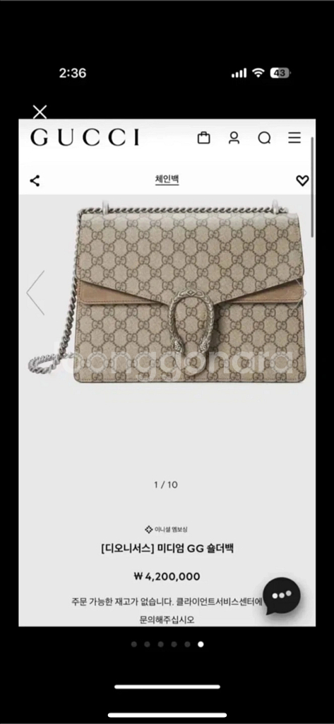 구찌 디오니소스 베이지--4