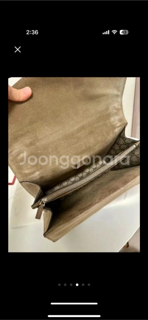 구찌 디오니소스 베이지--3