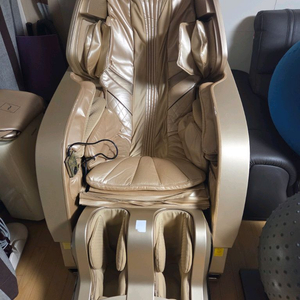 바디프랜드 파라오 이미지