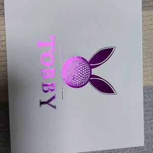 토비 슬라이스 방지 골프티