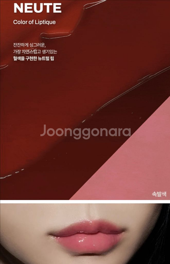 오아드립티크 뉴테--1