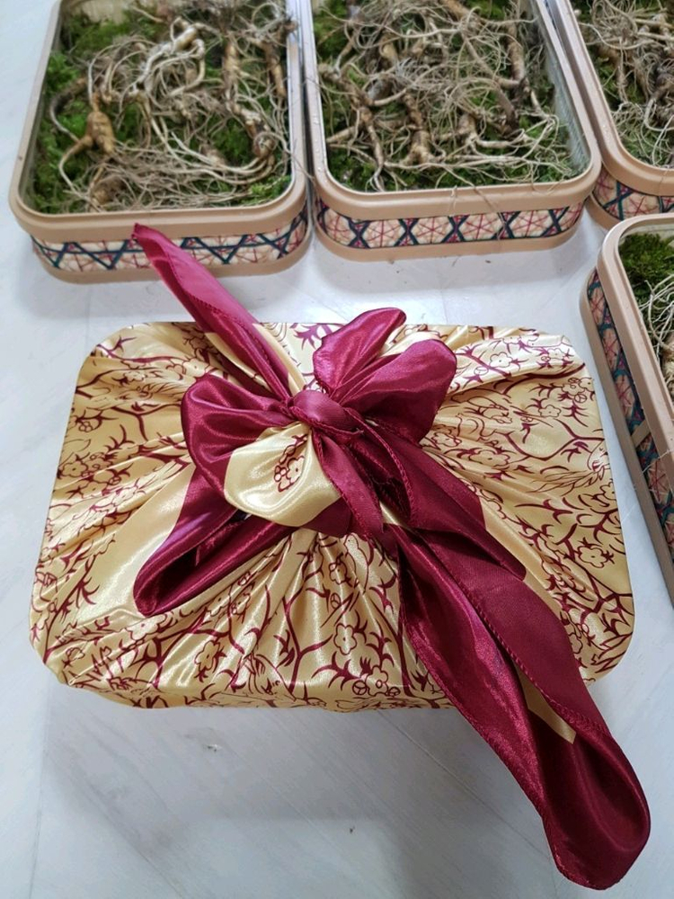 백두산 최상급 씨앗 장뇌삼 30년근 이미지