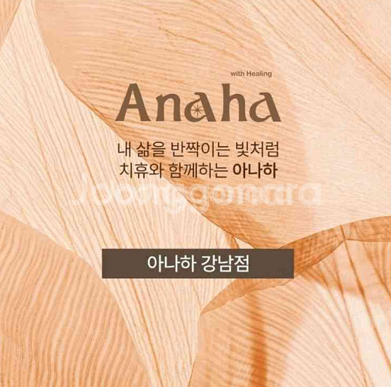 아나하 강남점 관리 프로그램 양도 (가격조정가능)--0