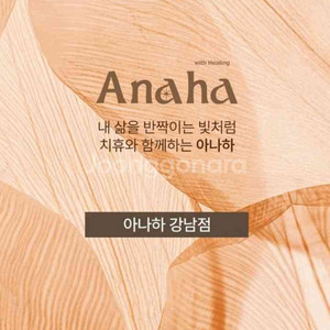 아나하 강남점 관리 프로그램 양도 (가격조정가능)