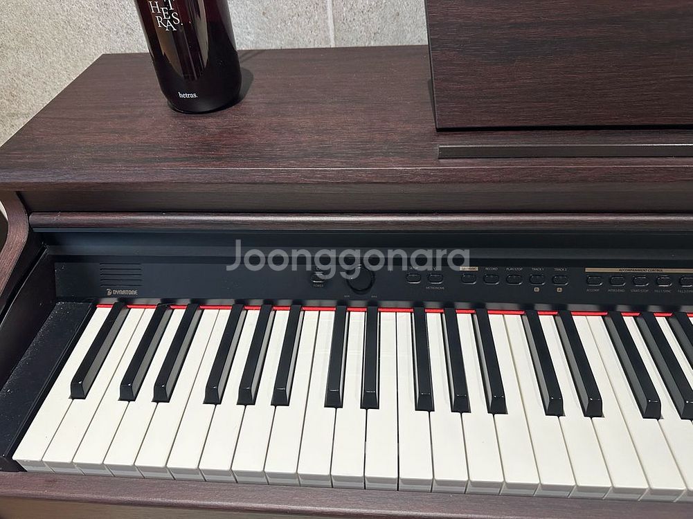 다이나톤 디지털 피아노 ST220--1